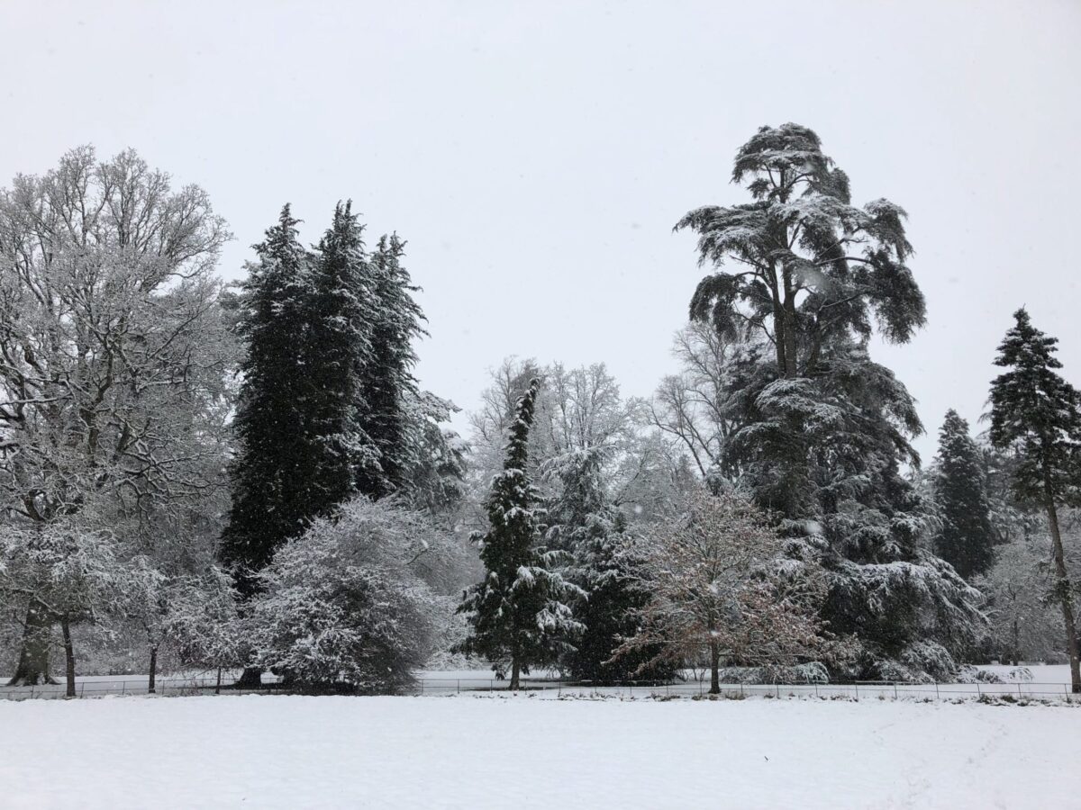 Cotswold at Christmas, Westonbirt, Bolthole Retreats