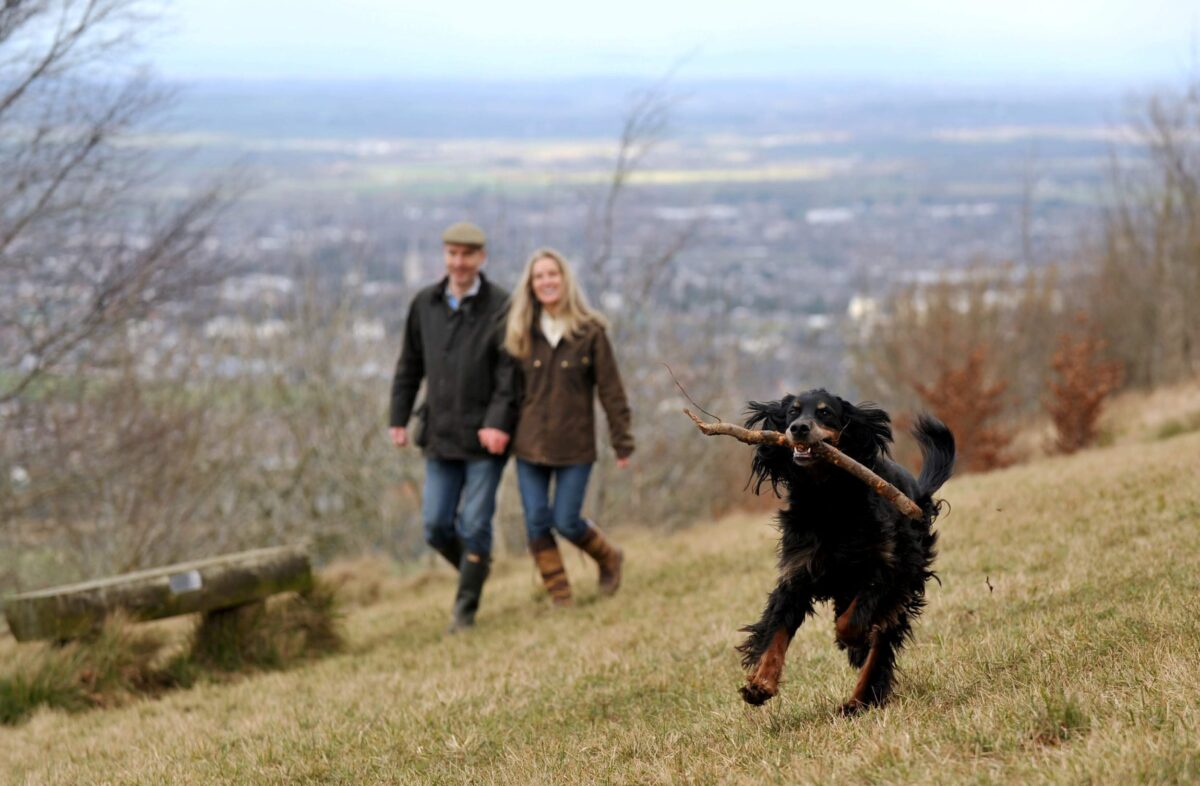 Cotswold walk