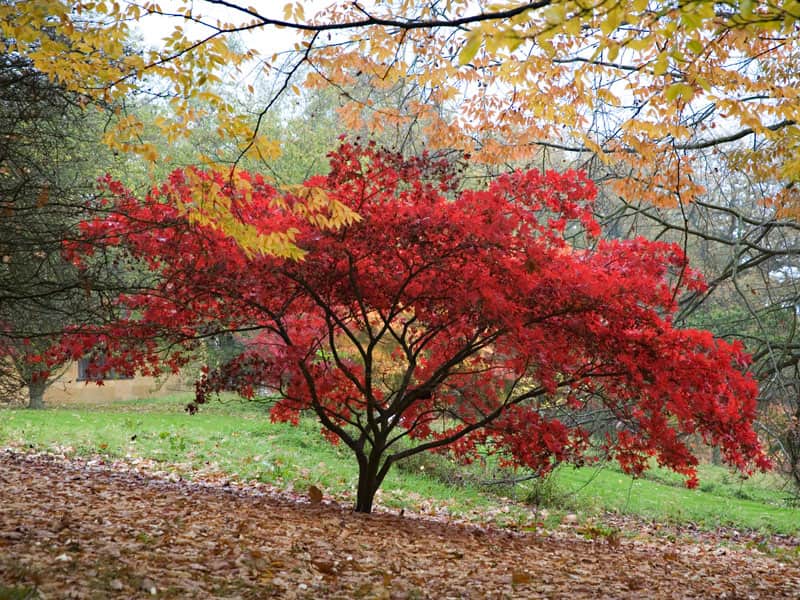 things to do int he cotswolds this autumn