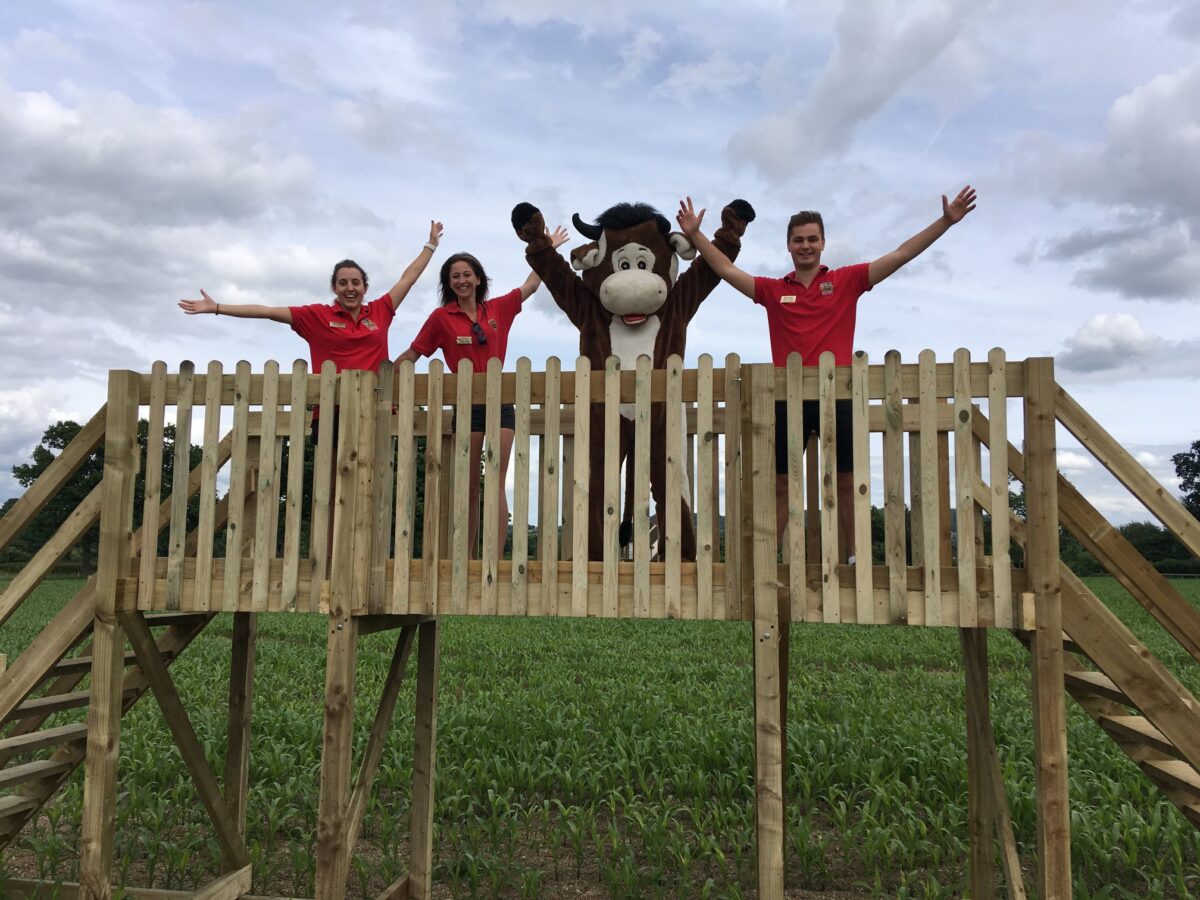 Cattle Country Farm Park