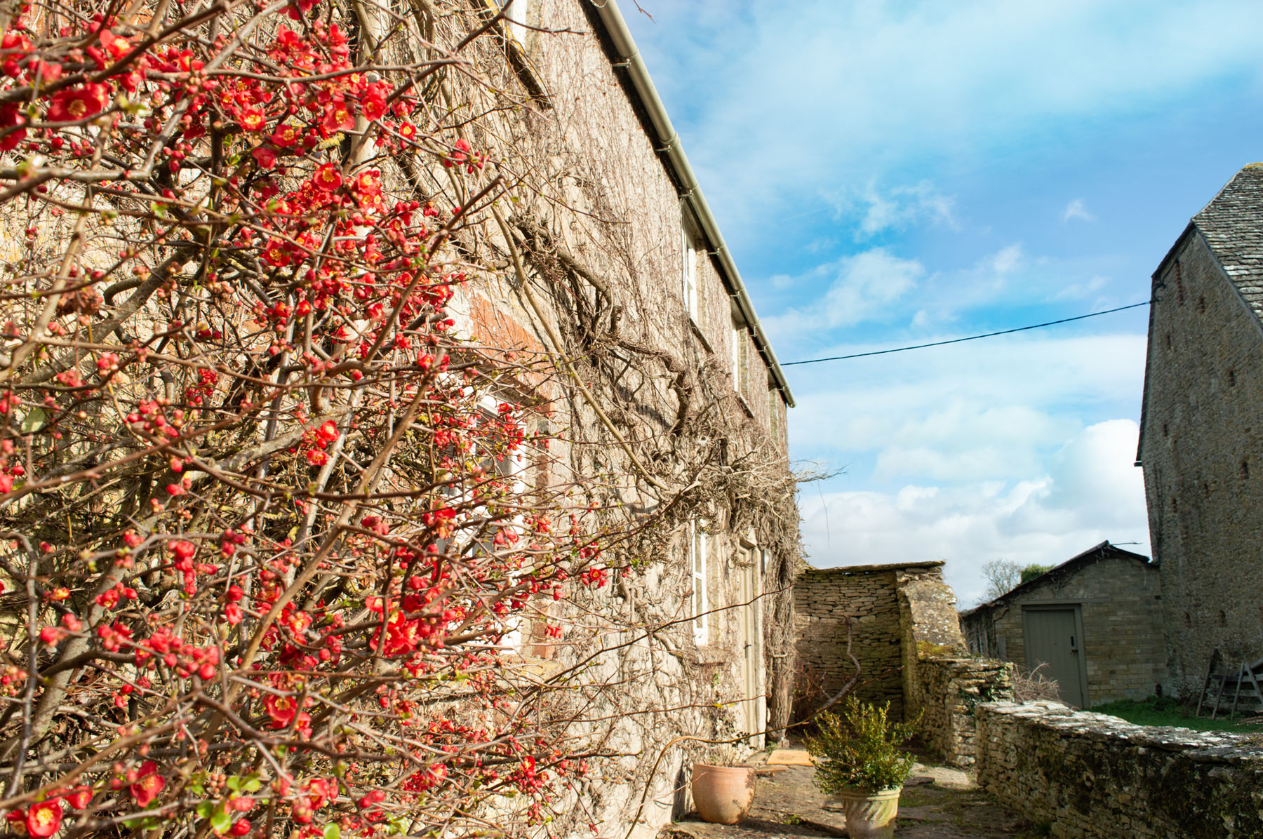 College Barn Cottage Mother's Day Treat