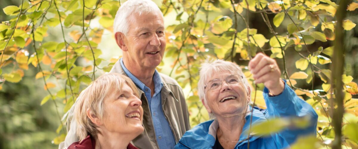 Westonbirt Arboretum