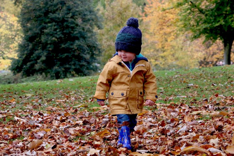 Toddler walking through leaves, representing fun things to do in the cotswolds in november