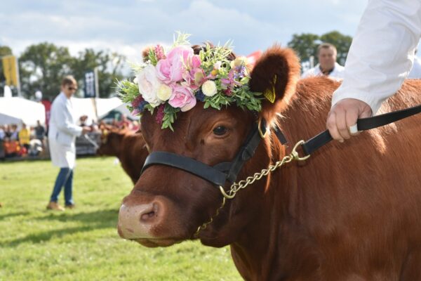 Moreton-in-Marsh Show