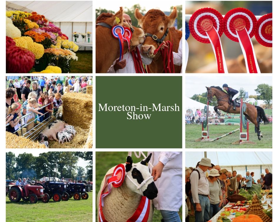 Moreton-in-Marsh Show