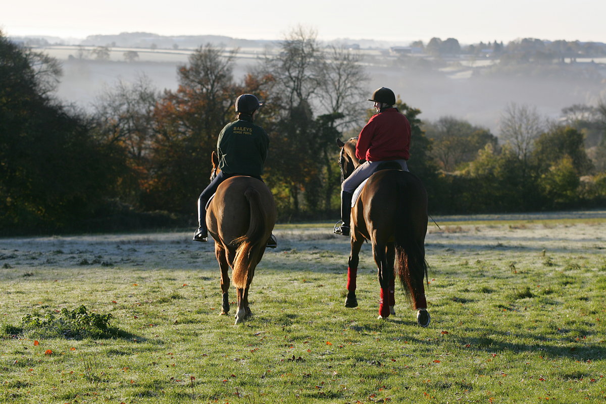 Cotswold Horse Tours