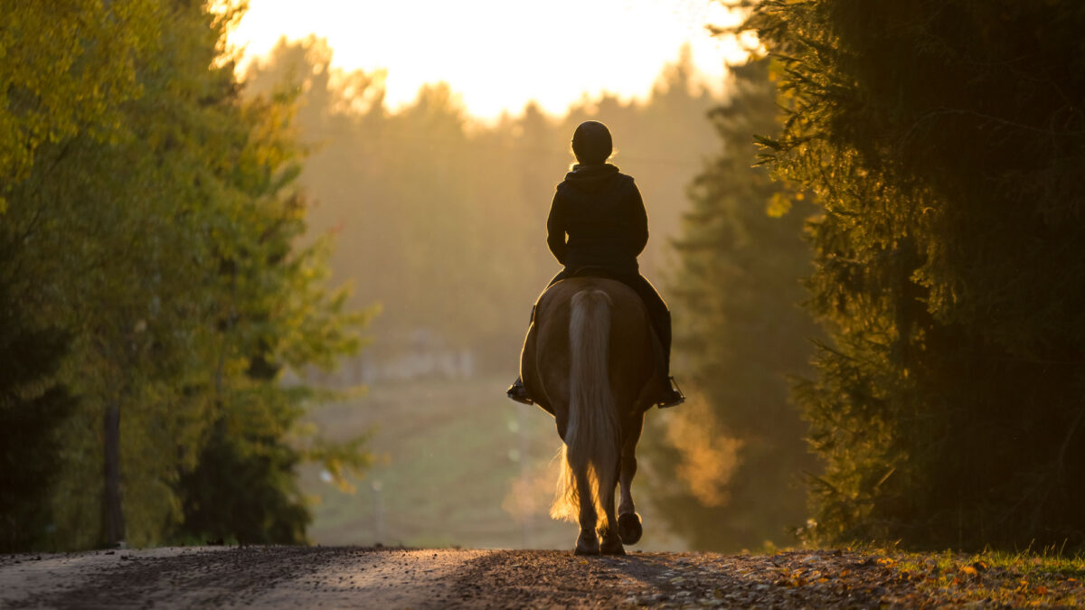 Cotswold Horse Tours