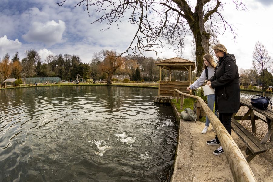 Bibury Trout Farm