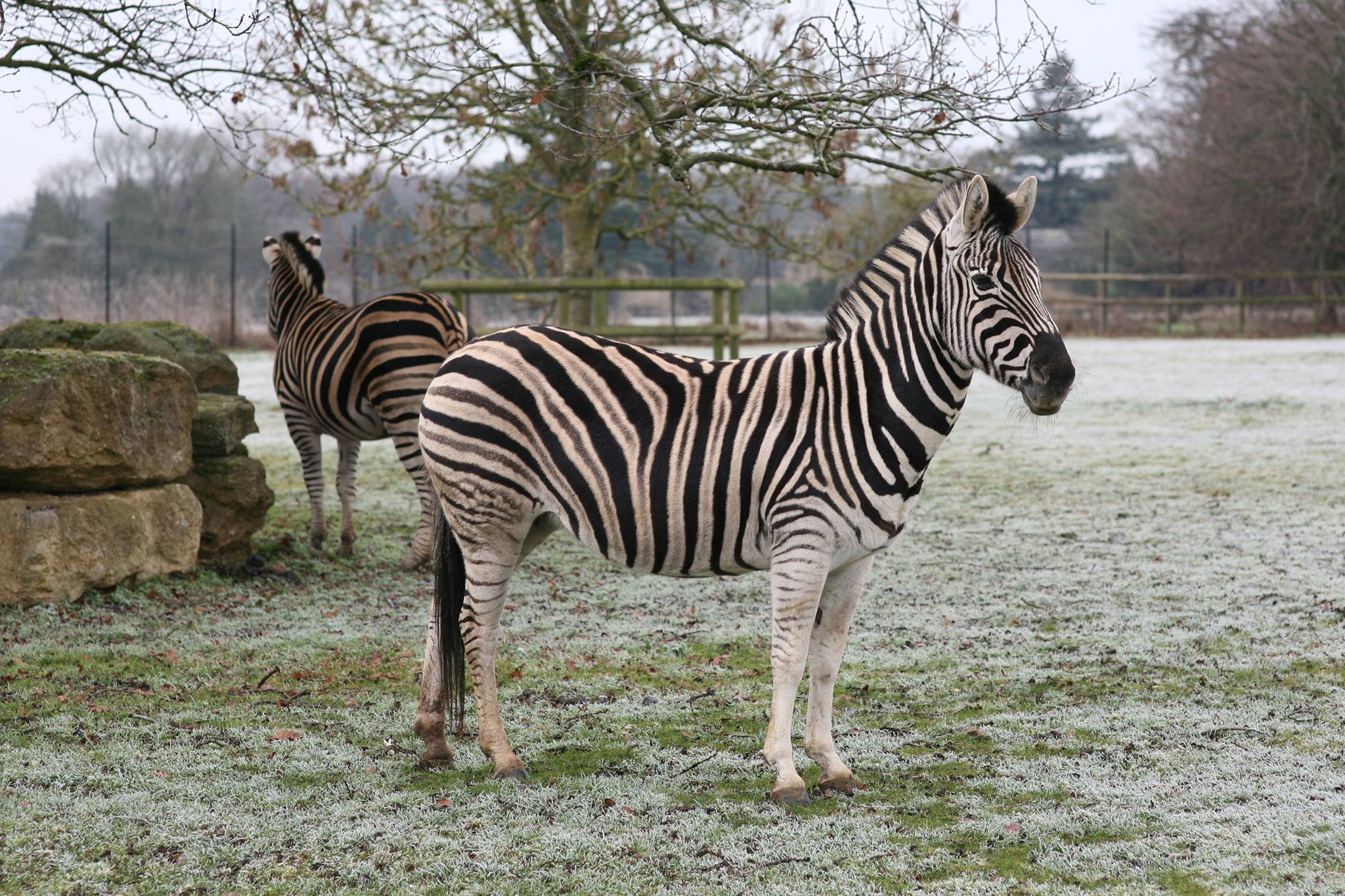 Cotswold Wildlife Park, Bolthole Retreats
