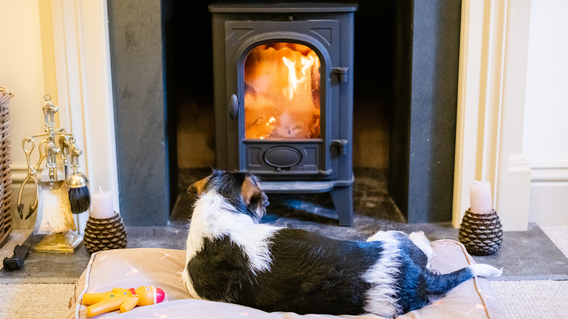 Dog friendly cottages, Bolthole Retreats