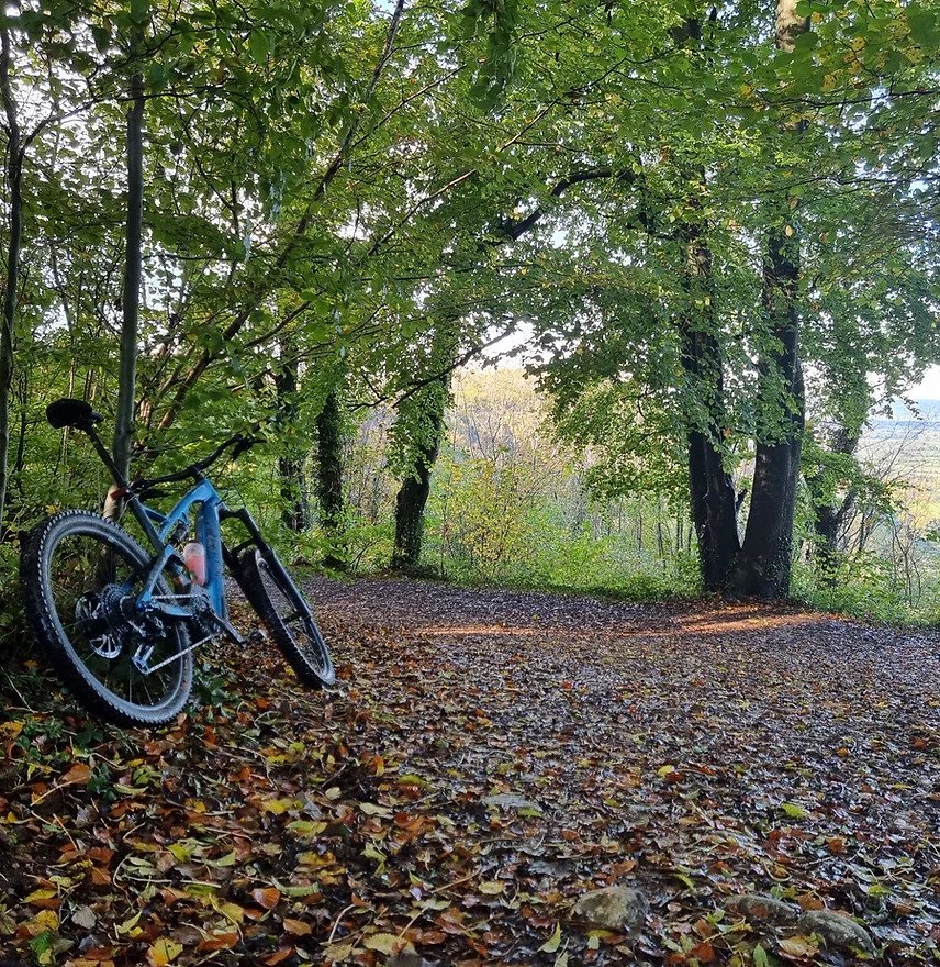 Electric cycle tours
