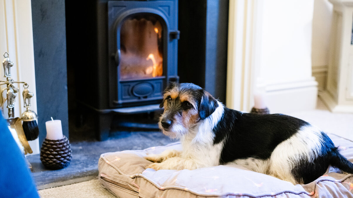 The Four Legged Cuddle Club, Bolthole Retreats