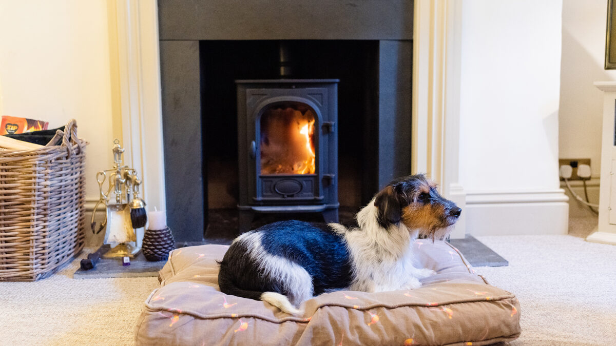 The Four Legged Cuddle Club, Bolthole Retreats