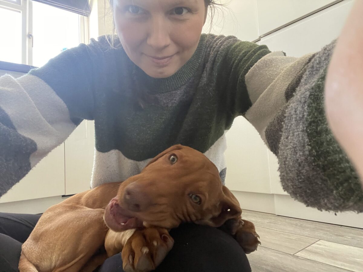 The Four Legged Cuddle Club, Bolthole Retreats