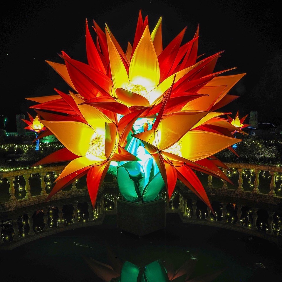 Spectacle of Light at Sudeley Castle