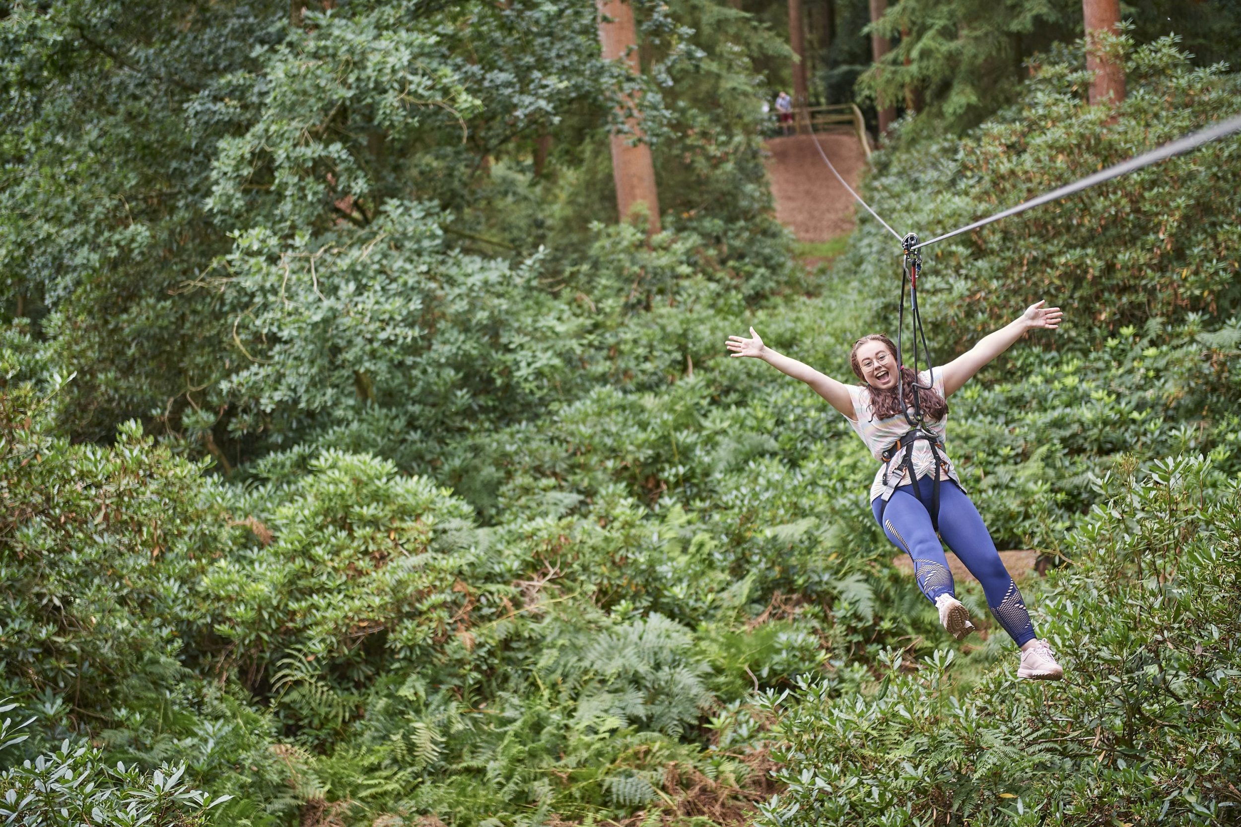 Go Ape in the Forest of Dean