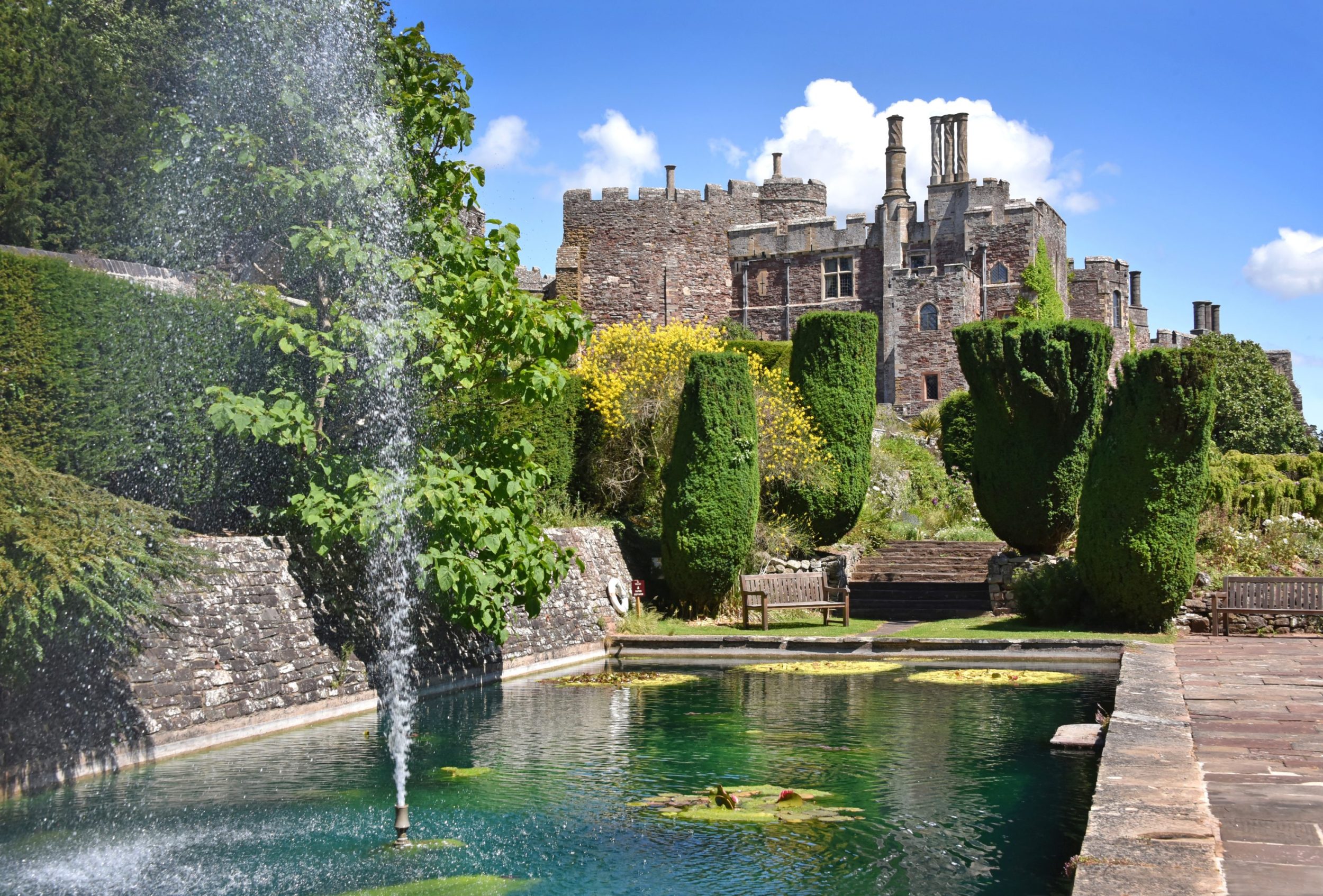 Berkeley Castle lily pond