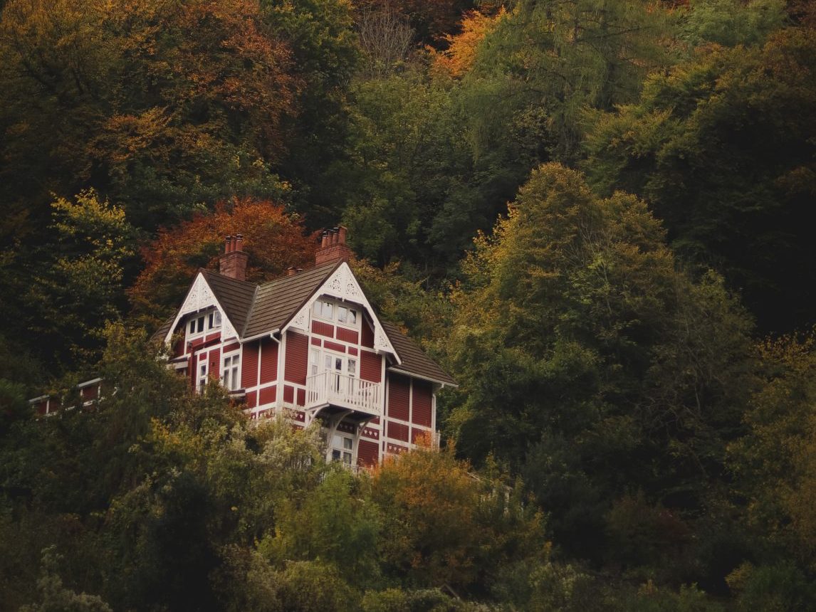 property in the forest of dean