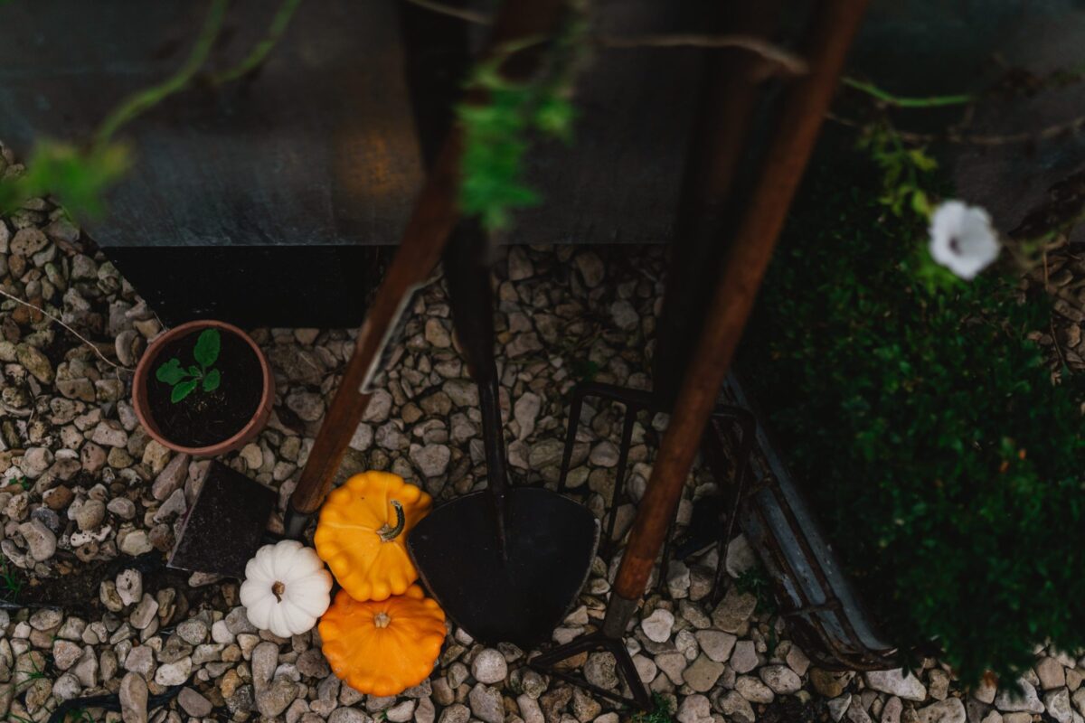On-site kitchen garden at Roots + Seeds