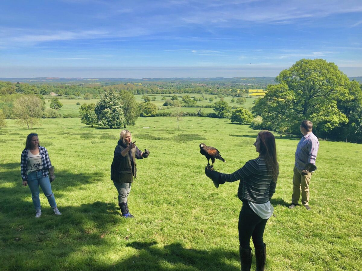 Walk with Hawks tour