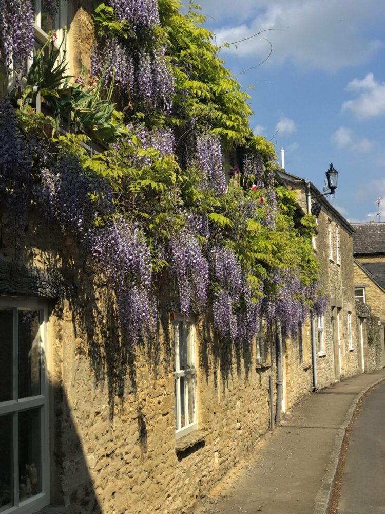 Pretty Cotswold street Cotswold Tours and Travel