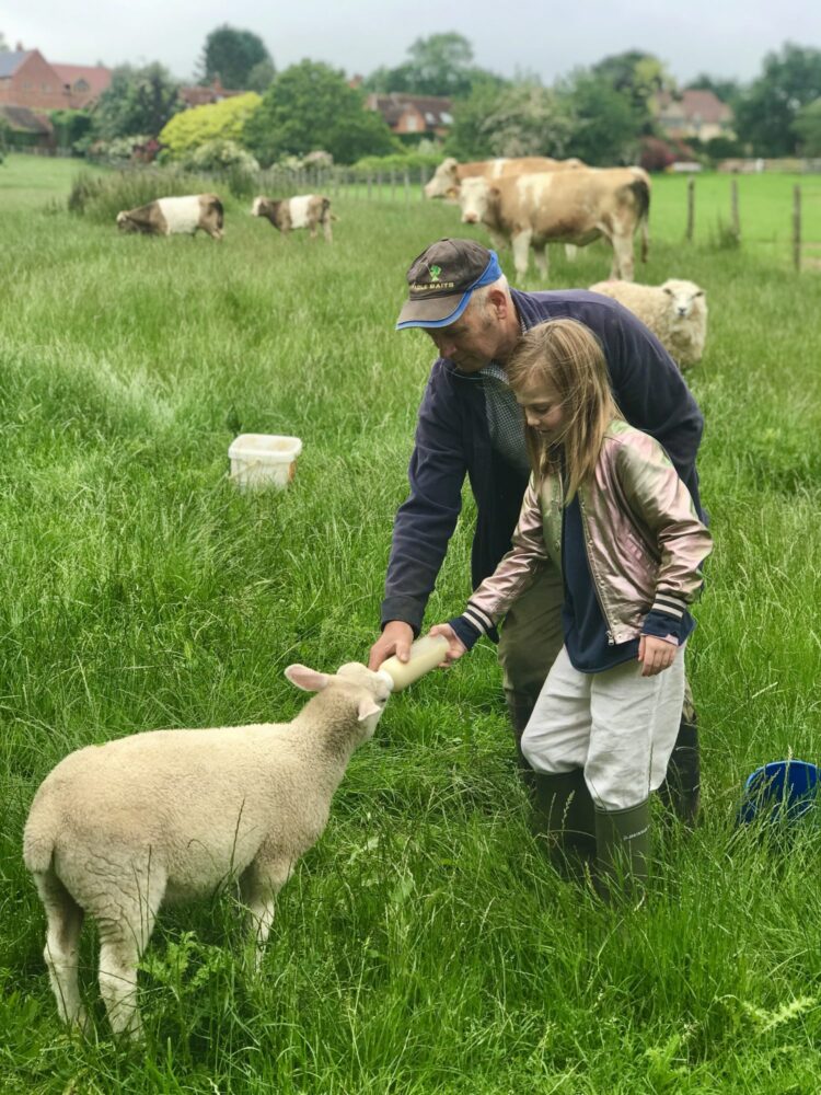 Cotswold Farm Experience