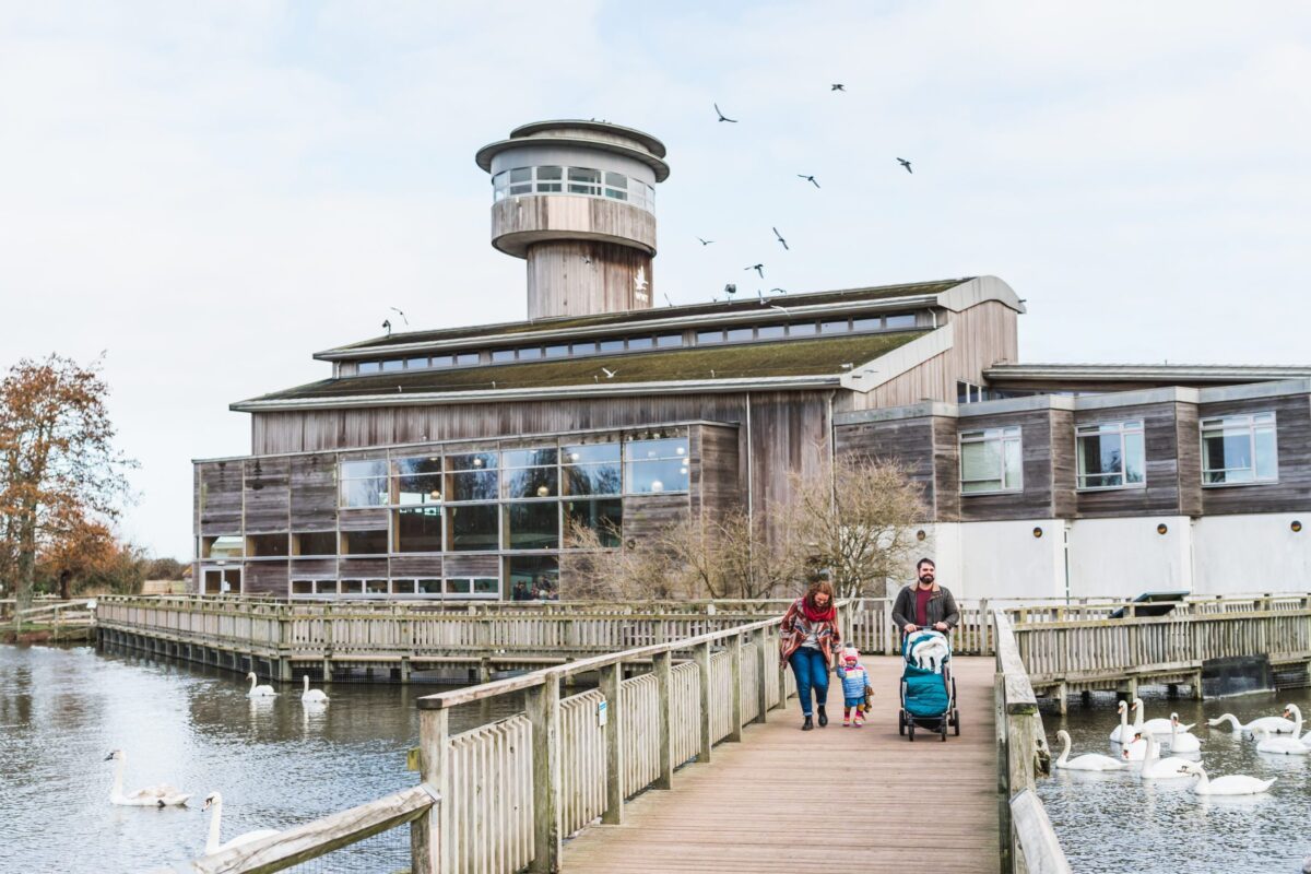 Family on the boardwalk at WWT Slimbridge Visitor Centre