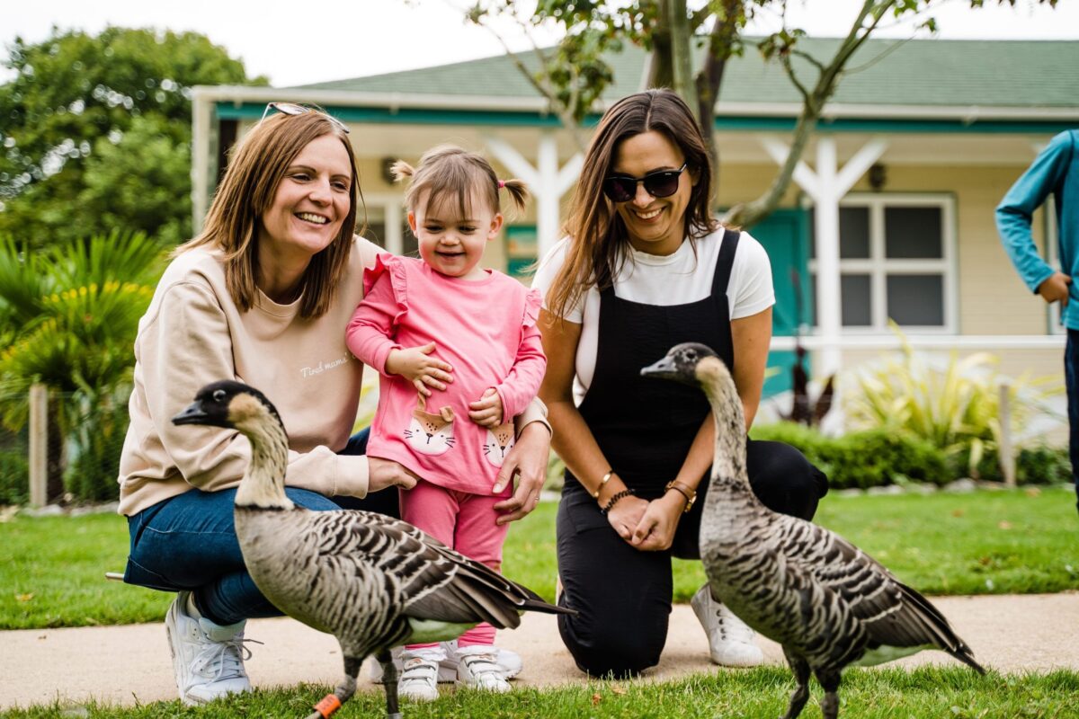 Family with geese at Slimbridge Wetland Centre