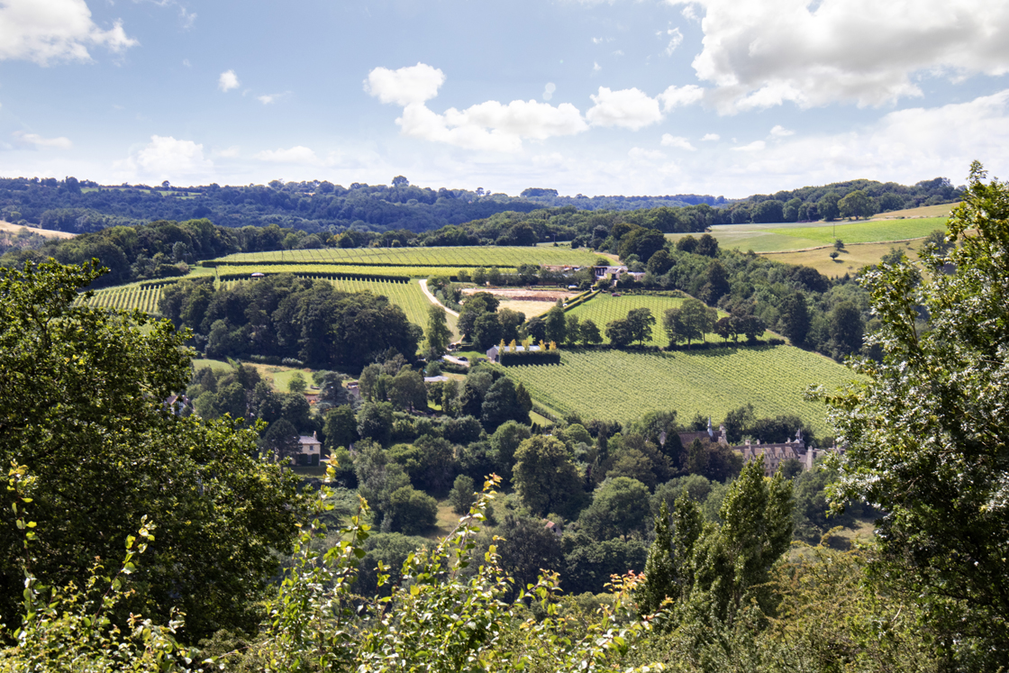 Woodchester Valley Vineyard