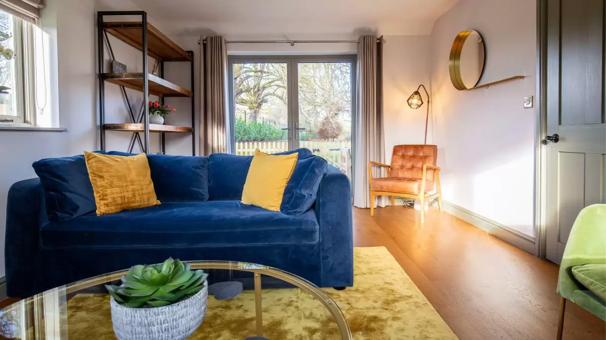 chestnut and paddock