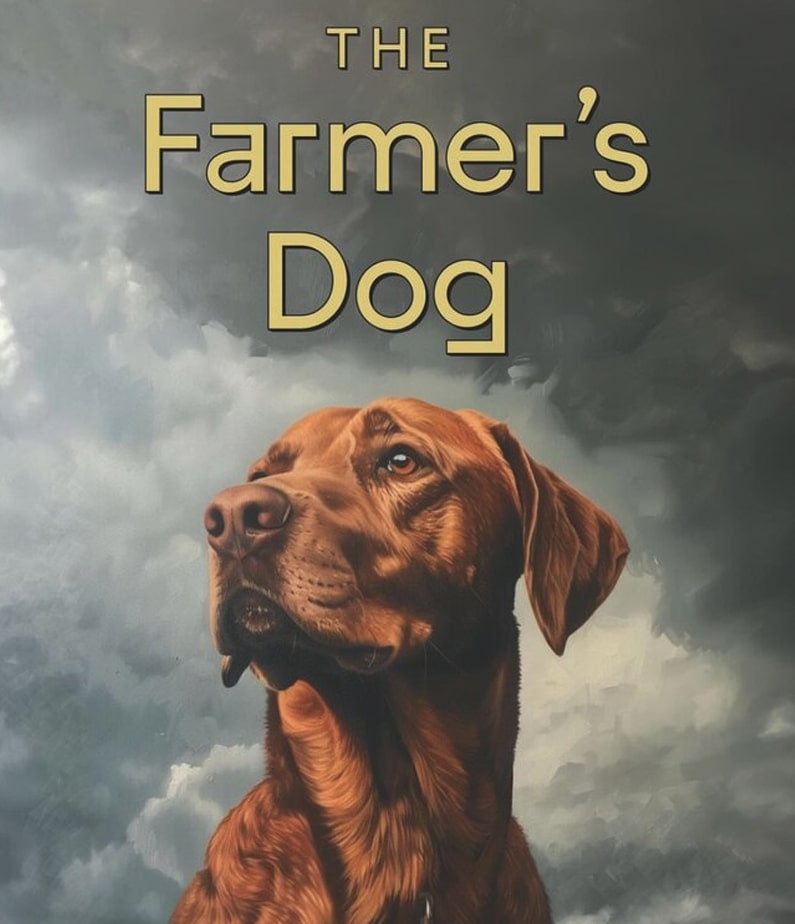 Farmers Dog Pub sign featuring Jeremy Clarkson's Labrador 