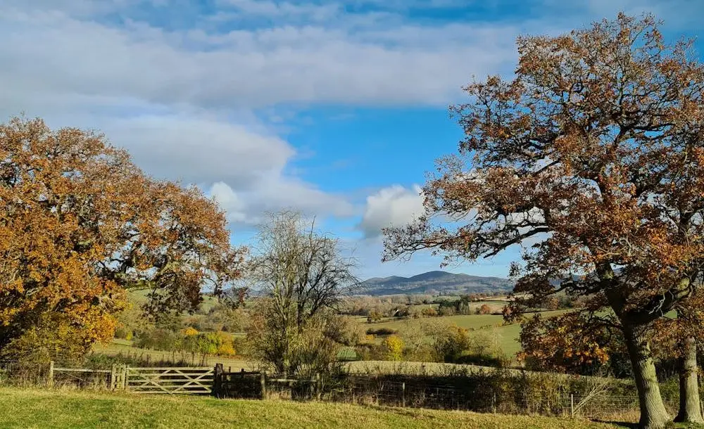 stay longer for less